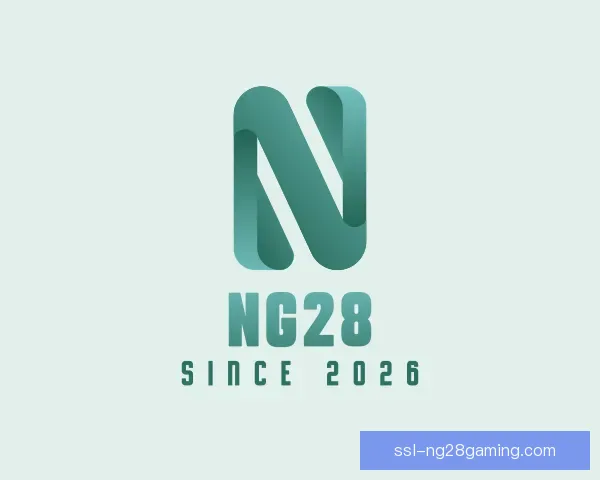 关于NG28